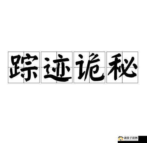 迷雾侦探泡利全探索：追踪隐秘踪迹指南