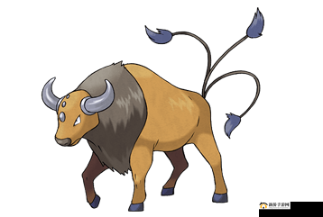 口袋妖怪复刻中肯泰罗实力究竟如何属性全面解析