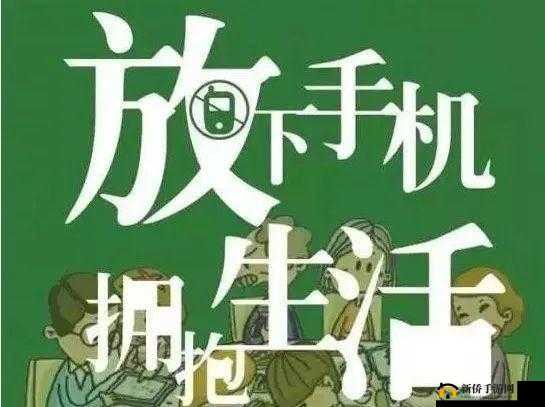 烧脑大乱斗第43关攻略：智慧激战，放下手机，轻松过关的诀窍解析