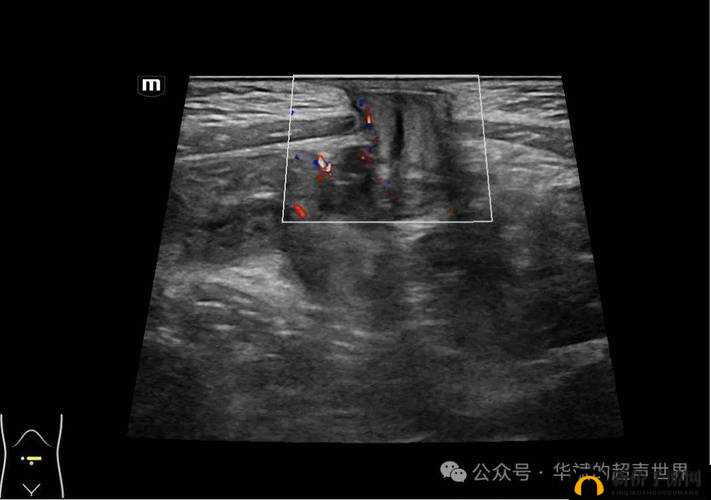 精产国品一二三产品天堂：成人世界的梦幻之旅