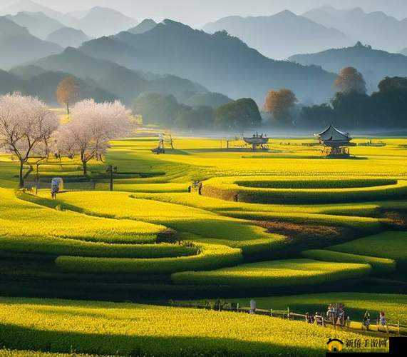 老马的春天顾晓婷的更新时间：精彩将至