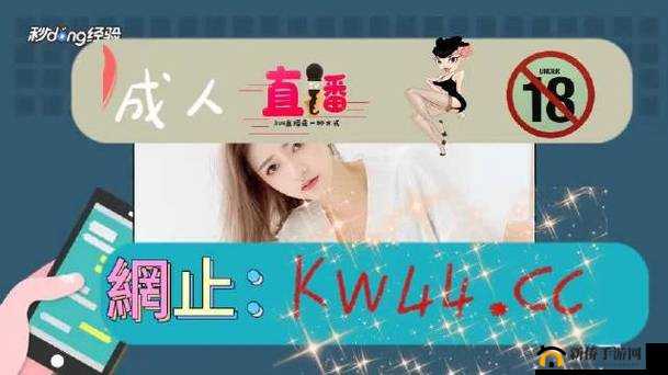 100 种禁用的视频软件：为何被禁