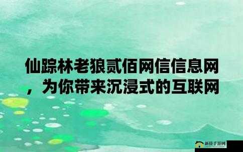19岁仙踪林贰佰信息网：最新动态呈现