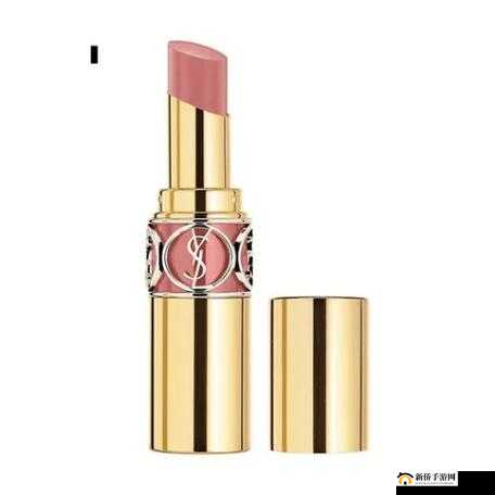 ysl 千人千色 8434 绝美唇色推荐