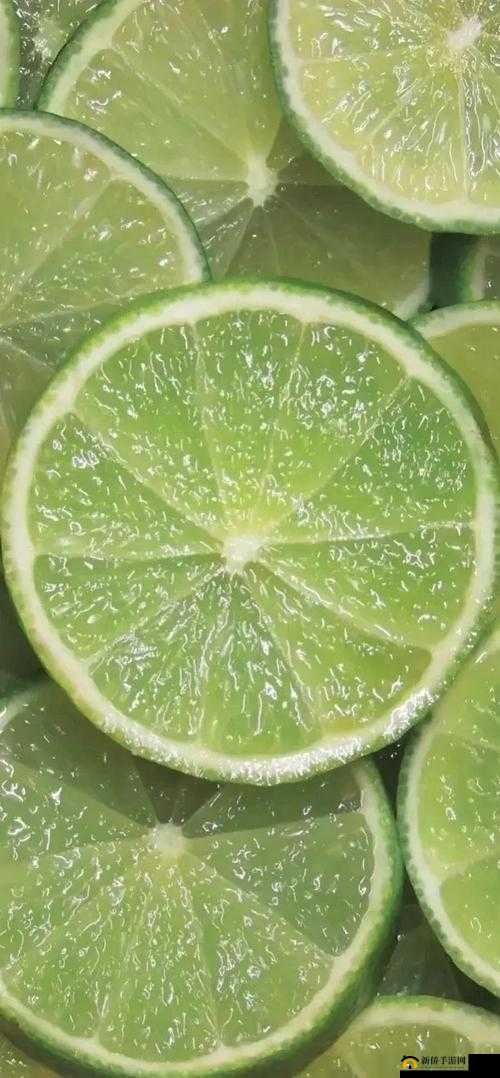 越南 14MAY18-XXXXXL56ENDIAN：探索未知的世界