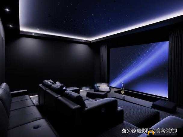 私人家庭影院 335：打造极致视听体验