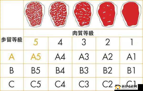 日本一品和二品区别：等级差异与特点