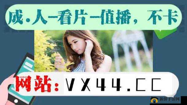 W 无区码一码二码三码的独特魅力