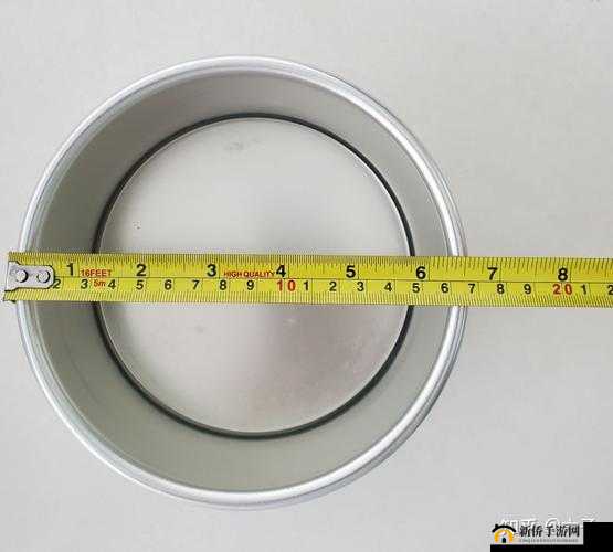 17 厘米究竟是什么意思