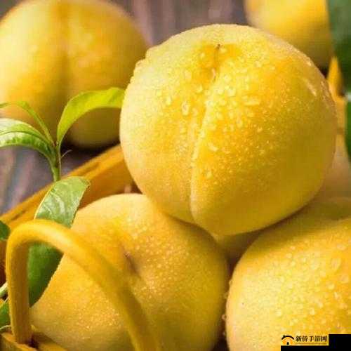 9612 黄桃亚洲品质蘑菇：口感鲜美，营养丰富