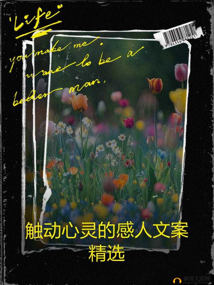 Zw 时看的文案：那些触动心灵的瞬间