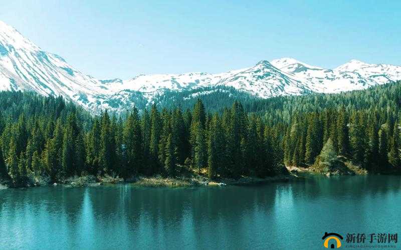 ぱらだいす天堂中文 WWW 最新版完整版：体验极致视觉盛宴