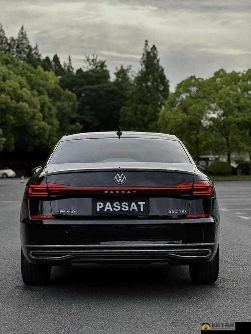 4s4s4s4s 色大众的奢华体验：畅享极致之旅