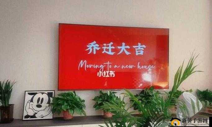 吴梦梦婚礼伴郎试车搬家啦：这都啥事儿啊