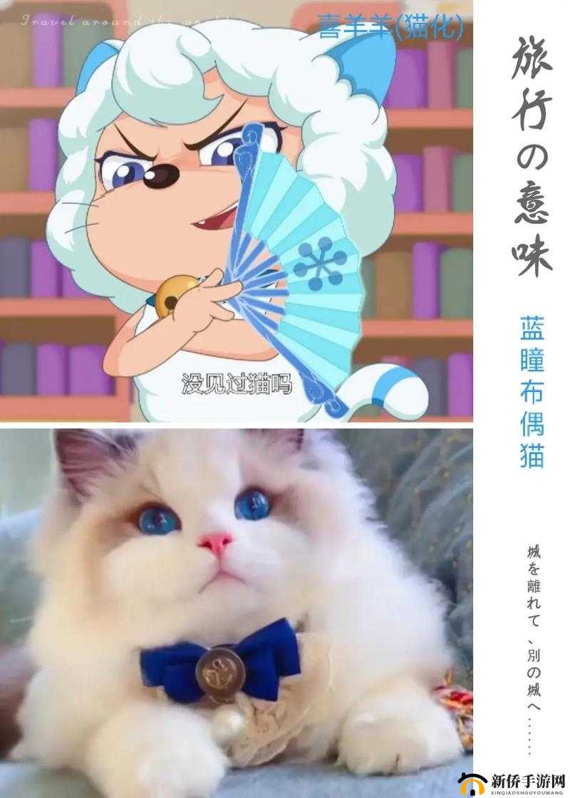 玉杵入牦户与吃橘带皮的奇妙组合