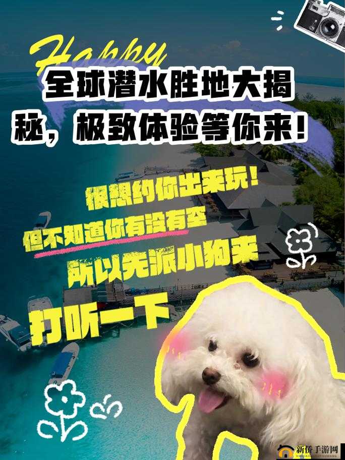 可不可以干湿你现场播放：极致体验等你来