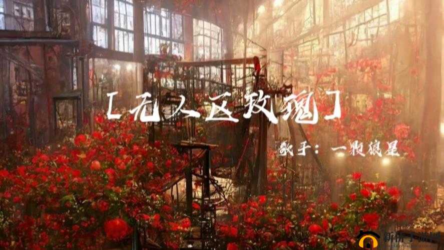 无人区玫瑰 MV 与一颗狼星相似点探讨