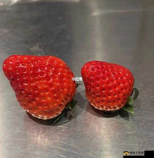 精致：蜜丝婷大草莓和小草莓对比评测