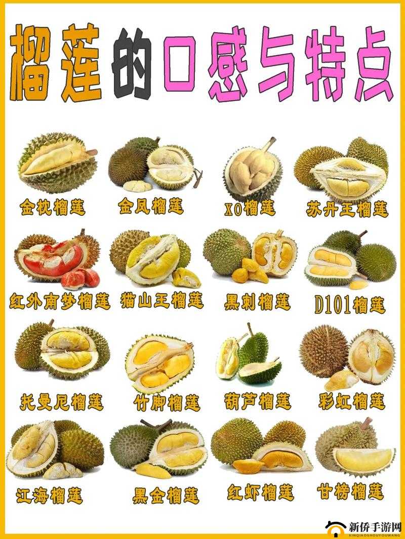 榴莲的神奇技能：探索宠物榴莲的特殊能力