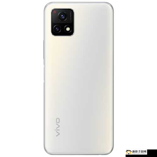 一级成色好的 Y31S 标准版：优质之选