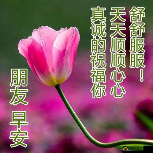 已满十八岁请带好纸：9420 资源多？