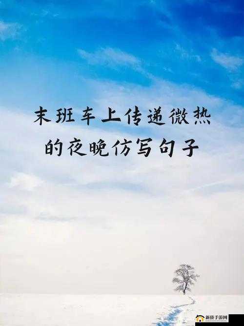 末班车上传递微热的夜晚：一段温暖的邂逅