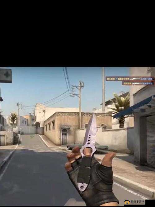 好兄弟 csgo 网站：你的游戏好帮手