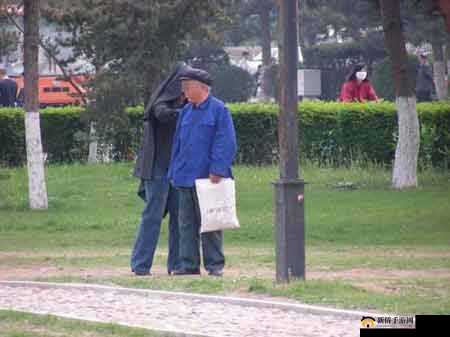 法国老人做交易森林：背后的故事