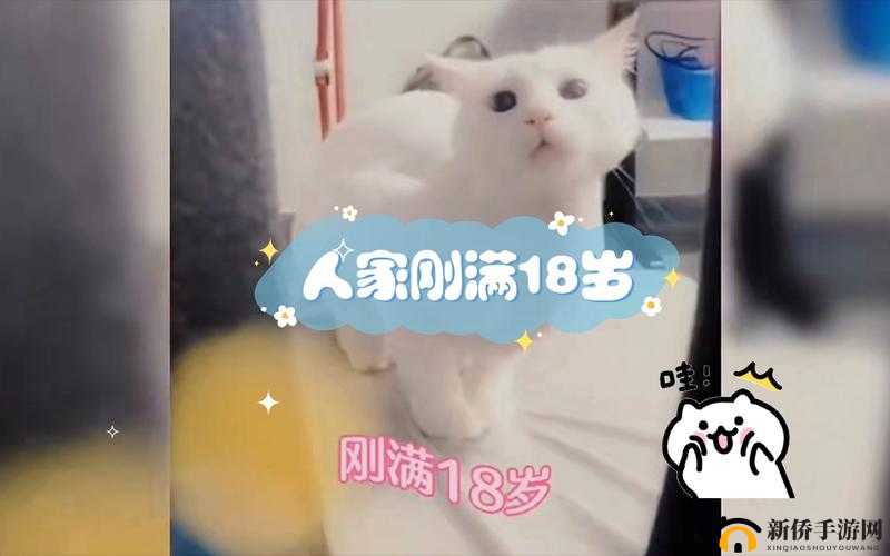 满 18 点此转入 2O2：年满 18 岁即可参与