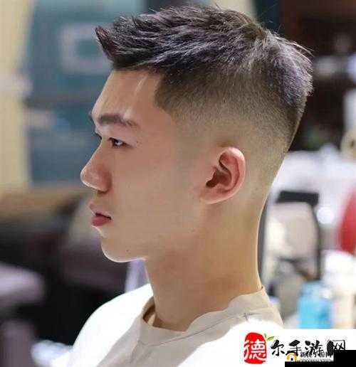 一根又黑又硬蘑菇头的独特魅力