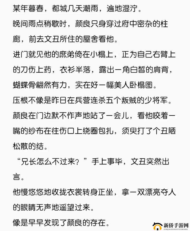爆炒美人兄长的一百种方法之技巧篇