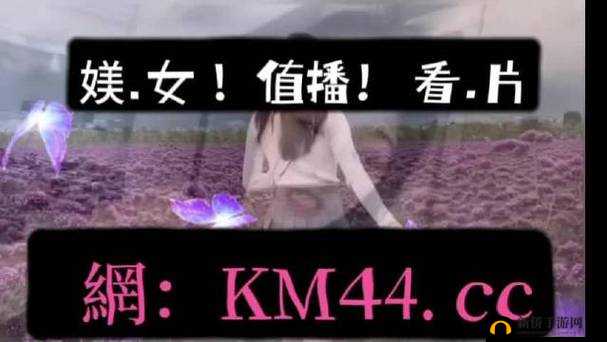 欧美 VPSWINDOWS 极品：极致体验，尽在掌握