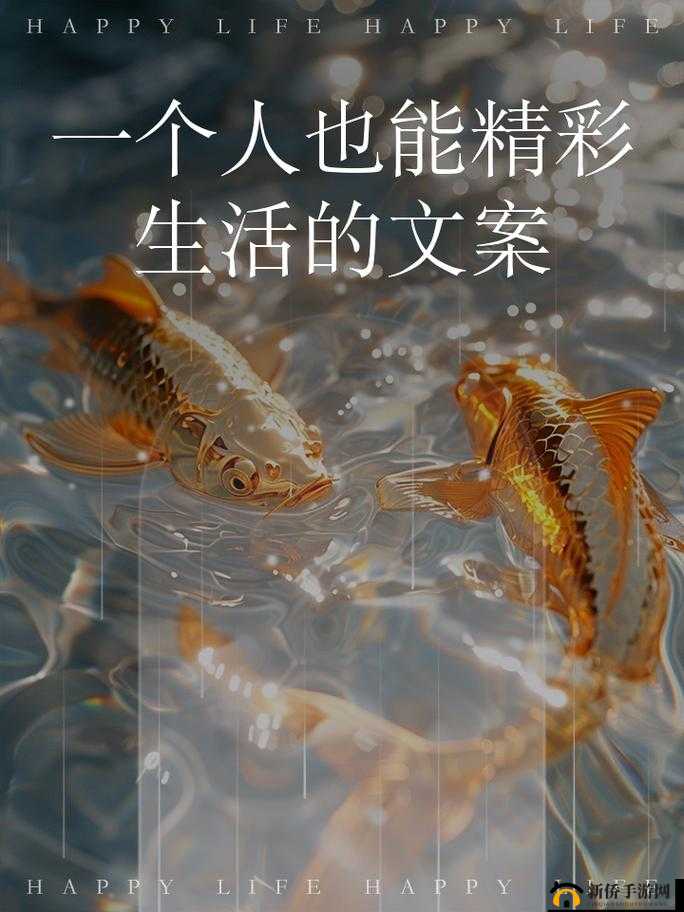 Zw 时看的文案：带你领略别样精彩