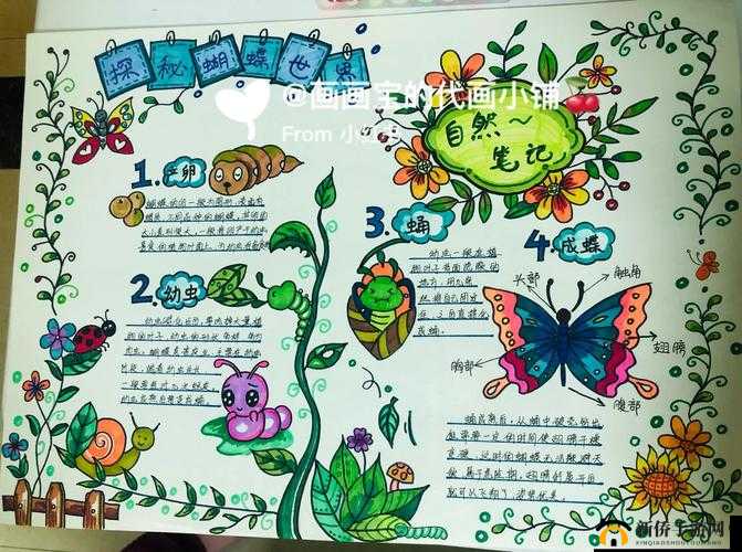 成长的秘密毛毛葆葆观察记录：探索成长的奥秘