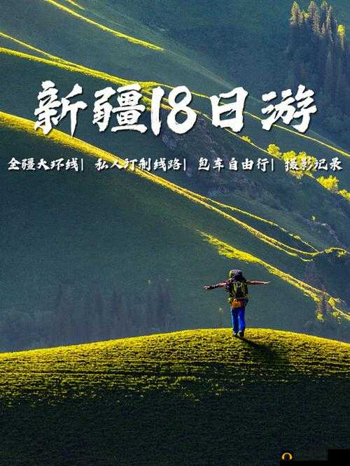 WINDOWS18—19 新疆：数字背后的故事