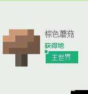 暴躁老外玩 minecraft 蘑菇：支持用户在线评论