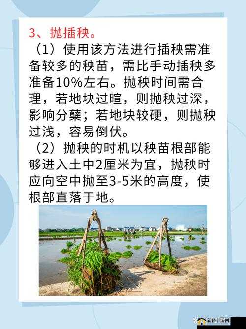 夫妻之间的 100 种插秧法：探索亲密关系的新方式