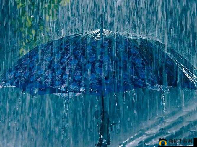 一晚上用了好几个雨伞：这雨下得真猛