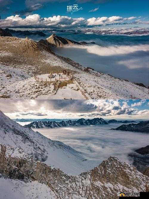 云顶之弈冰川体系攻略：玩转冰川体系，掌握游戏胜机