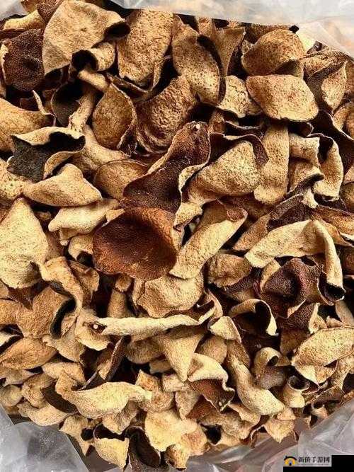 久一线产区二线产区三线产区不会卡：稳定流畅的网络体验