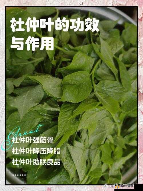 三分钟完事是否为肾虚引发的探讨