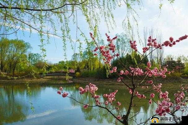 春情荡漾：撩人的季节