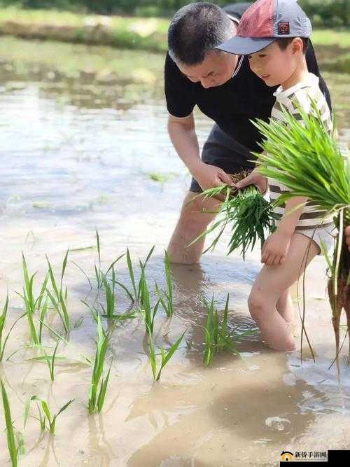 情侣插秧姿势参考：回归田园的浪漫