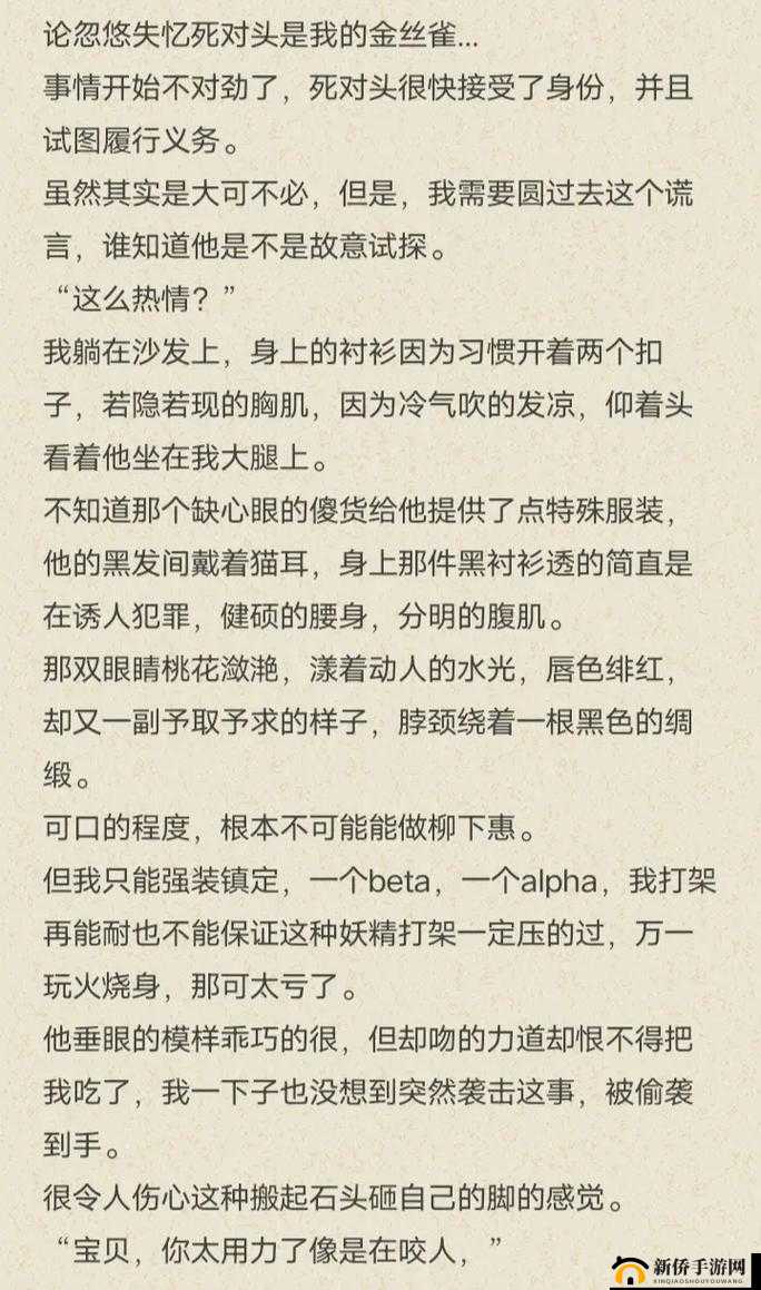 双男主车书：激情驰骋的兄弟情