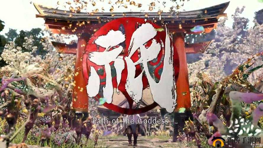 欧美人玩 Xbox 原因：追求游戏体验与娱乐