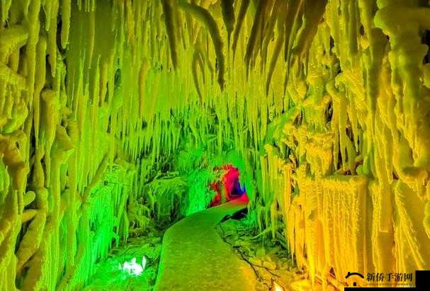 神秘通道 vip5：探索未知的神奇之旅