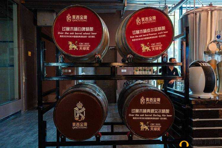 99 国精产品：探索未知的奇妙世界