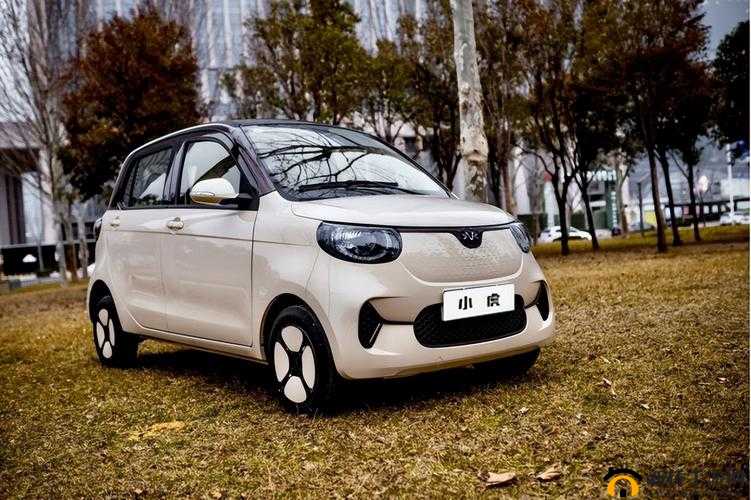 -Cute四川小虎 gy2022, 快来围观