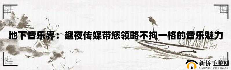 趣夜传媒引领精彩趣夜时光