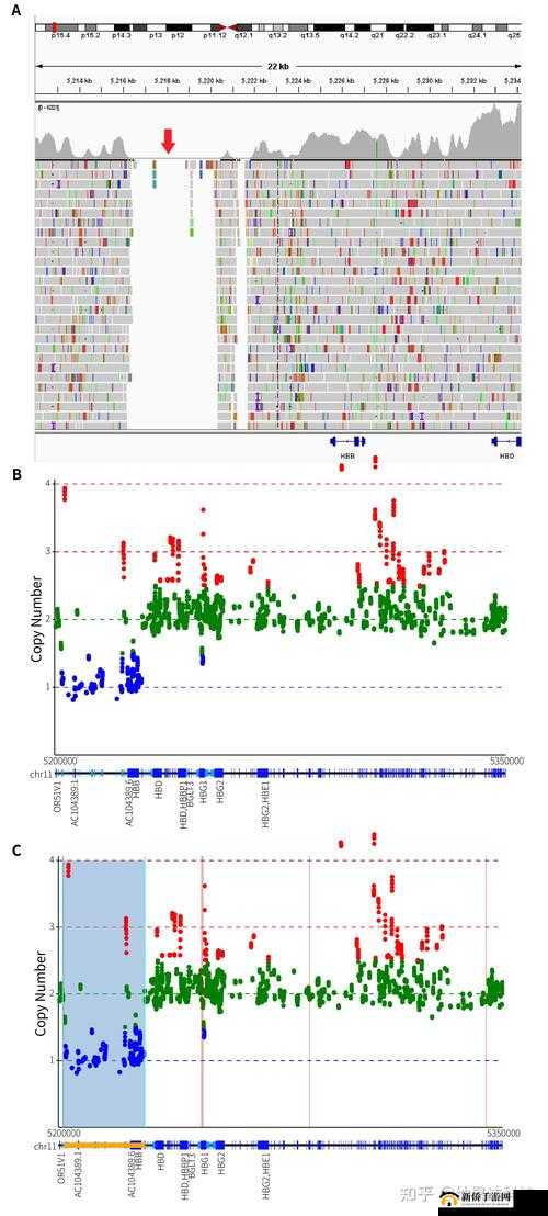 palipali 线路检测一整晚：深入探究结果分析